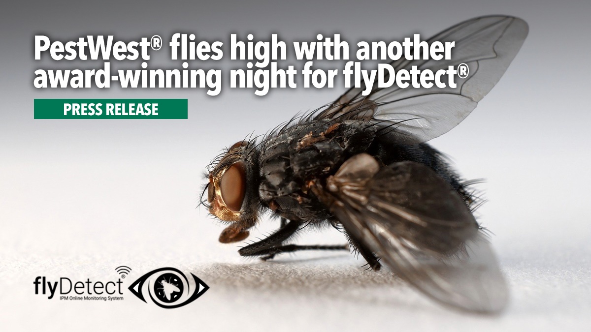 flydetect-wins-another-award1 flydetect-wins-another-award1